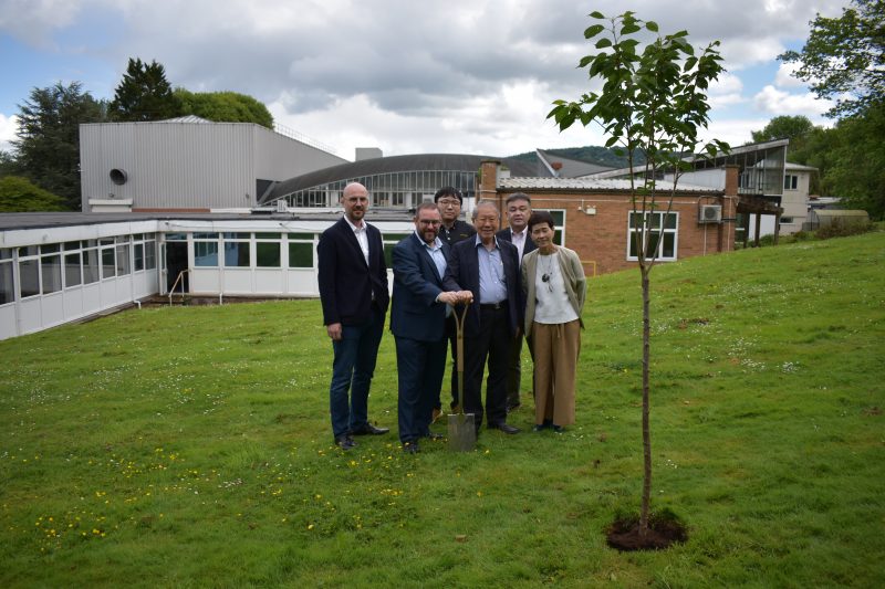 TRI-WALL PLANTS TREES FOR THE QUEEN AS PART OF SUSTAINABILITY INITIATIVE