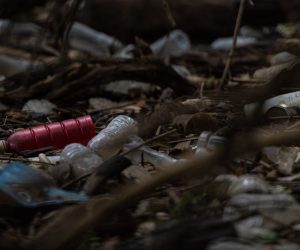 Ban on single-use plastics in National Parks a victory for our ocean