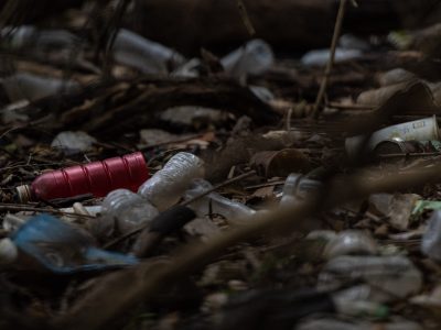 Ban on single-use plastics in National Parks a victory for our ocean