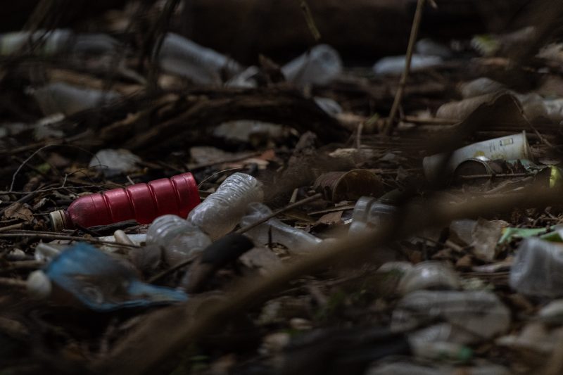 Ban on single-use plastics in National Parks a victory for our ocean
