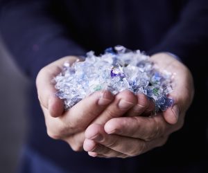 Recycling pioneer Faerch establishes closed loop for PET food packaging