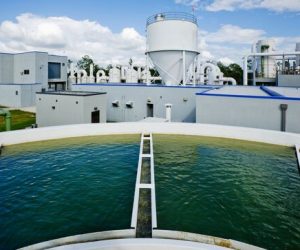 Ahlstrom-Munksjö accelerates the pace of strategy execution to become the preferred sustainable specialty materials company