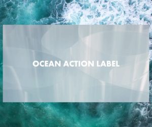 SABIC collaborates with UPM Raflatac to launch the world’s first label material made from certified circular ocean bound plastic