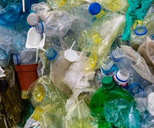 Landmark California Legislation Would Eliminate Nearly 23 Million Tons of Single-Use Plastics and Packaging by 2032, Ocean Conservancy Estimates
