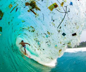 Atlantic Packaging Joins The Conservation Alliance