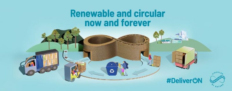 New Corrugated Life Cycle Analysis (LCA)