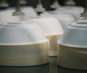 A 100% ECO rigid takeaway food packaging produced in EU
