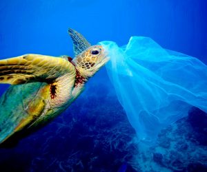 With SB54, “California is righting the ship,” leading U.S. out of ocean plastic pollution crisis