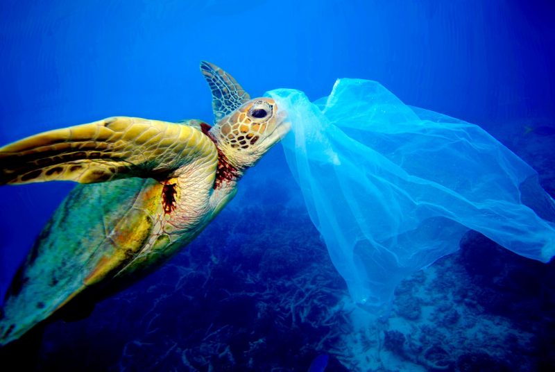 With SB54, “California is righting the ship,” leading U.S. out of ocean plastic pollution crisis