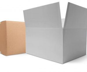 FachPack: ORBIS Europe Showcases Sustainable and Reusable Transport Packaging