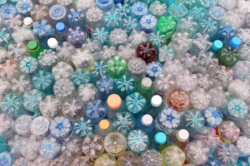 Give businesses the tools for comprehensive EPR preparation – Ecoveritas