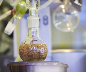 Mondi opens laboratory that tests paper product recyclability