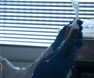 Project to turn whey into coatings that extend cheese shelf life by 25%-50% and to provide probiotic ingredients for animal feed