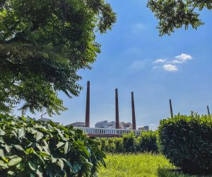 SCHOTT achieves first successes in its climate neutrality initiative