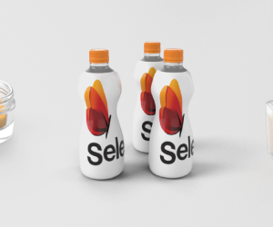 SELENIS EXPANDS PRODUCTION OF HIGH-END SPECIALTY POLYESTERS TO THE UNITED STATES