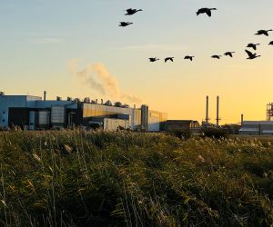 Smurfit Kappa paper mill unveils new sustainable innovation