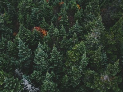 Yangi and packaging value chain partners join forces to develop future biobased packaging