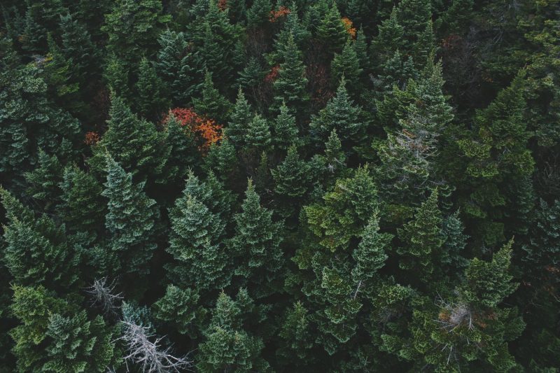 Yangi and packaging value chain partners join forces to develop future biobased packaging