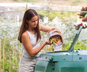 UK public callout to the government to support compostable alternatives as a solution to the plastic crisis