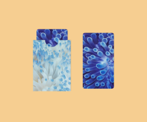 Monadnock Launches HP Indigo Solutions Portfolio of 100% Post-Consumer Waste Recycled Material