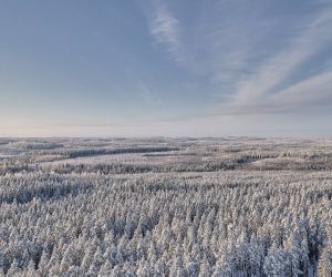 Metsä Board recognised again with triple CDP ‘A’ score for transparency on climate change, forests and water security