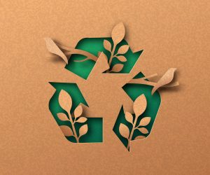 SIG invests in new recycling technology to increase value of recycled aseptic cartons in Brazil